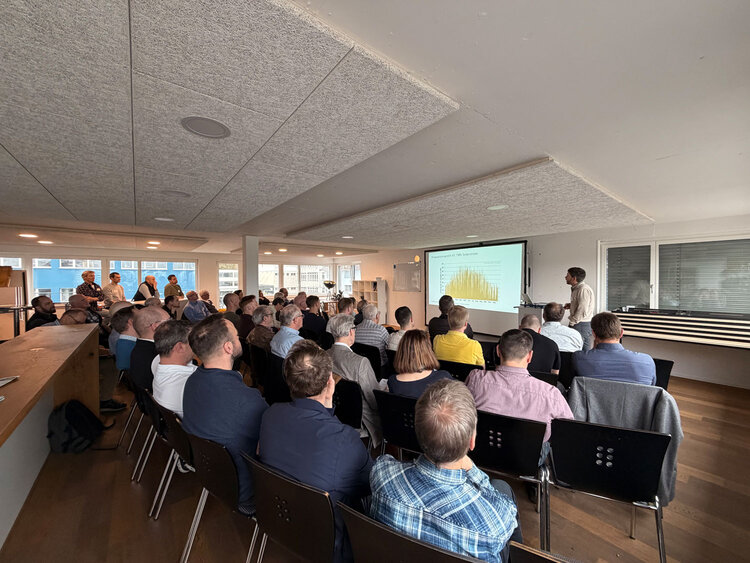 Netzintegration Solarstrom bis 2035